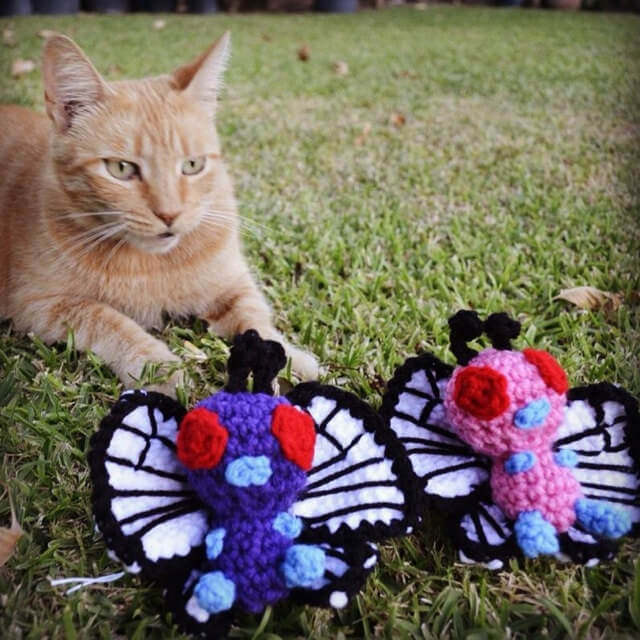 Butterfree Amigurumis with Cat