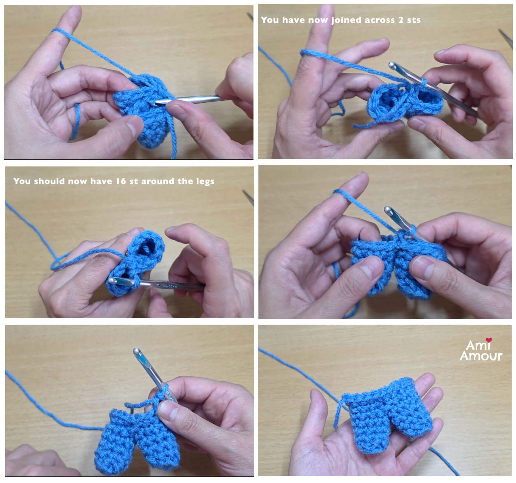 Tiger Front Leg Pair