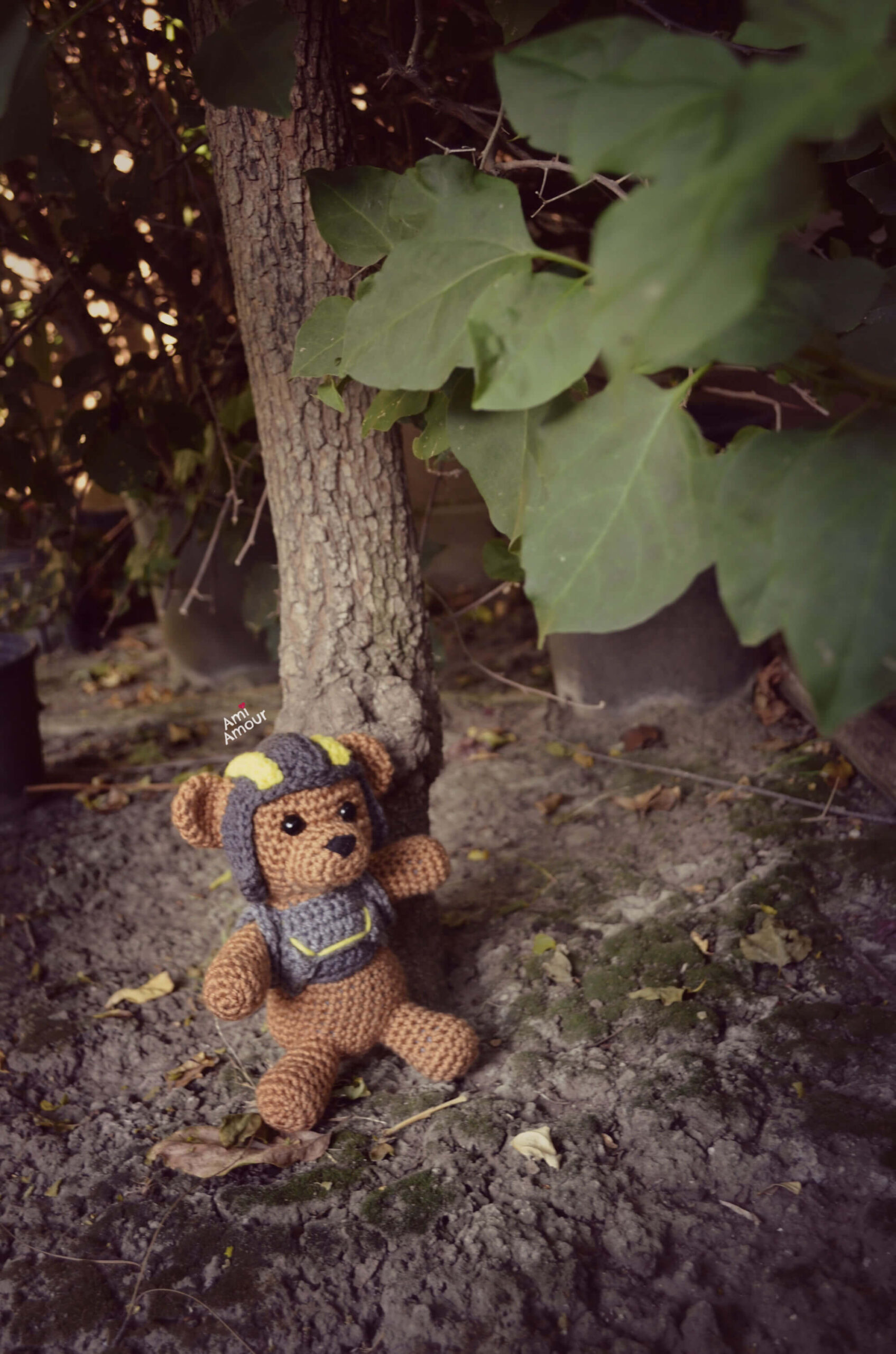 Teddy Helldiver in Forest